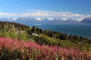 Alaska Körfezi 'nde bir körfez olan Cook Körfezi' nin manzarası arka planda küçük Homer kasabası.