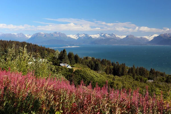 Вид Вхід Кука Бухту Затоці Аляска Задньому Плані Маленьке Місто — стокове фото