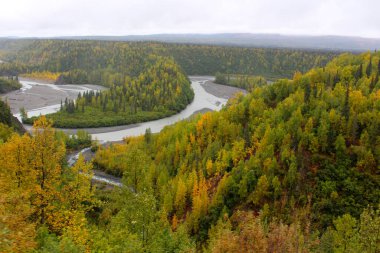 Sonbaharda Alaska-Denali Ulusal Parkı
