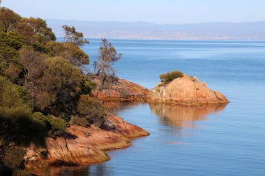Freycinet Ulusal Parkı Tazmanya 'da kıyı manzarası