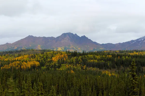 Alaska Denali National Park Train Ride Autumn — Stock Photo, Image