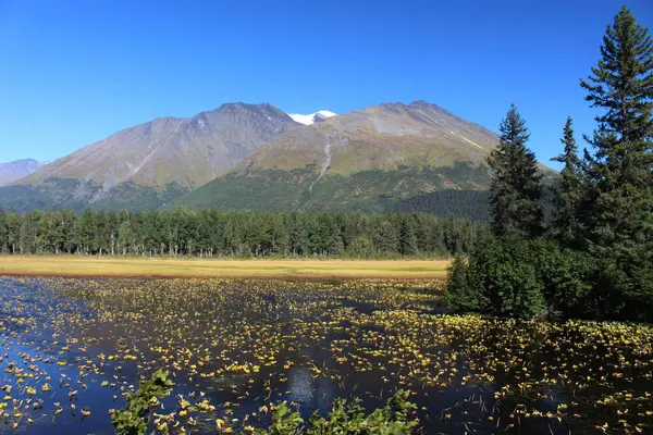 Lake Landscape Herfst Kenai Mountains Alaska Verenigde Staten — Stockfoto