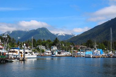 Alaska, Amerika Birleşik Devletleri 'nin Alaska eyaletinde yer alan bir şehirdir.   