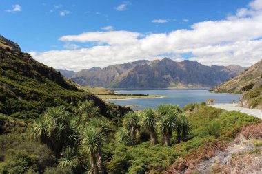 Hawea Gölü, Yeni Zelanda manzarası