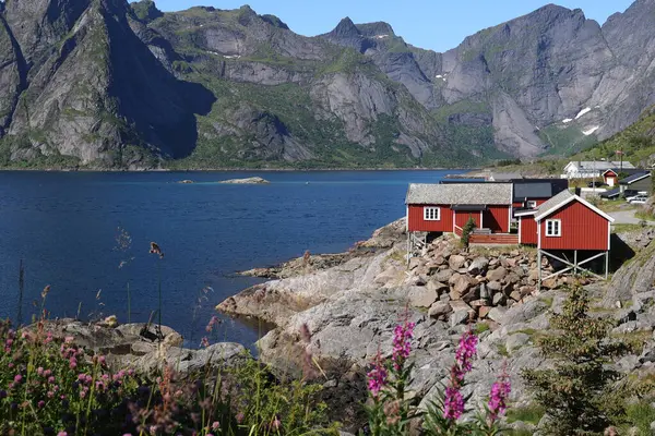 Reine 'in eşsiz manzaralı evlerinin muhteşem manzarası. Lofoten, Norveç.  