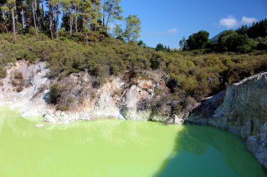 Şeytan Hamamı, Yeni Zelanda 'daki Wai-O-Tapu Parkı' nda parlak sarı-yeşil bir sülfür gölüdür.