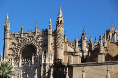 Dünyaca ünlü Sevilla Katedrali, Endülüs, İspanya 