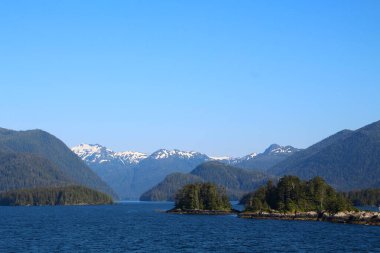 Alaska, Sitka Boğazı 'nda küçük bir ağaç kaplı ada.  