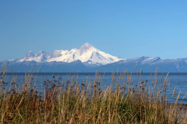 Alaska 'nın aşçı köşesi. Iliamna Dağı' nın arka planında.