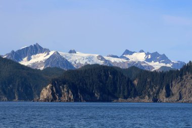 Diriliş Körfezi 'ndeki manzara Kenai Fjords Ulusal Parkı, Alaska