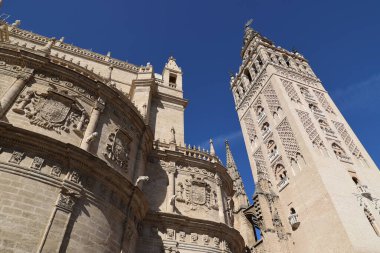 Dünyaca ünlü Sevilla Katedrali, Endülüs, İspanya 