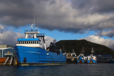 Unalaska-Unalaska Hollanda Limanı, Alaska eyaletinin Unalaska Adası 'nda yer alan bir şehirdir.