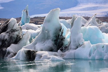 Jkulsarlon Buzul Gölü 'ndeki buzdağları- İzlanda   