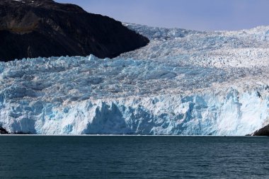 Aialik Buzulu, Kenai Ulusal Parkı Alaska 'da Aialik Körfezi' ne akan bir buzuldur.