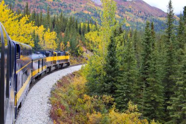 Alaska Demiryolu Talkeetna 'dan Denali' ye sonbahar manzaralı bir tren.