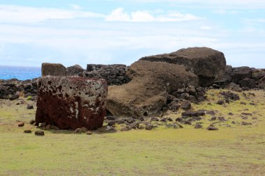 Rapa Nui 'deki Ahu Akahanga' da düşen moai Paskalya Adası, Şili, Güney Amerika