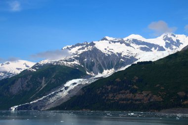 Alaska, dağlık kıyı manzarası. Üniversite. Prens William Sound.