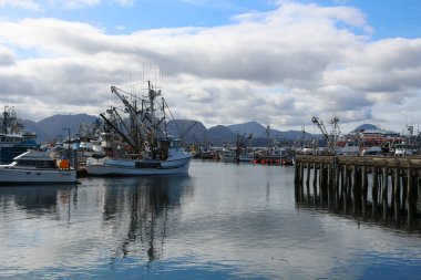 Kum Noktası Limanı Amerika Birleşik Devletleri Alaska eyaletinin Aleutians Doğu Borough 'daki Popof Adası' nda bir yer.