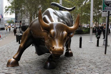 Charging Bull, İtalyan-Amerikan sanatçı Arturo Di Modica 'nın New York' un Finansal Bölgesi 'nde bulunan bir bronz heykelidir.