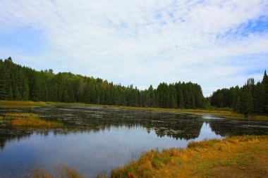 Algonquin Provincial Park, Kanada 'nın Ontario eyaletinde yer alan bir şehirdir.