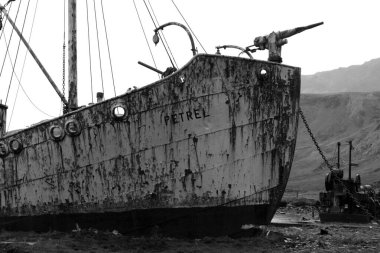 Eski Balina Gemisi Petrel Güney Georgia 'daki Grytviken balina avlama istasyonunun kıyısında.