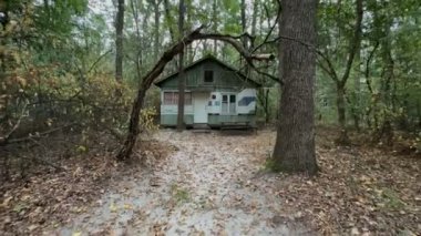 Sonbahar ormanın içinde terk edilmiş evde