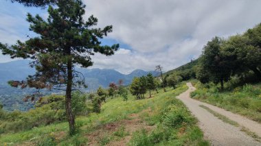 Temmuz 2023 'te Granges Saint-Paul güzergahı üzerinde Menton (Fransa) manzaralı tepelerde yürüyüş yolu. Ön planda çam ağacı, Fransız Alpleri ve arka planda bulutlar..