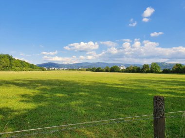 Sunshine on a light green field in Freiburg, Germany (May 2020). Fluffy clouds and mountains visible in distance.  clipart