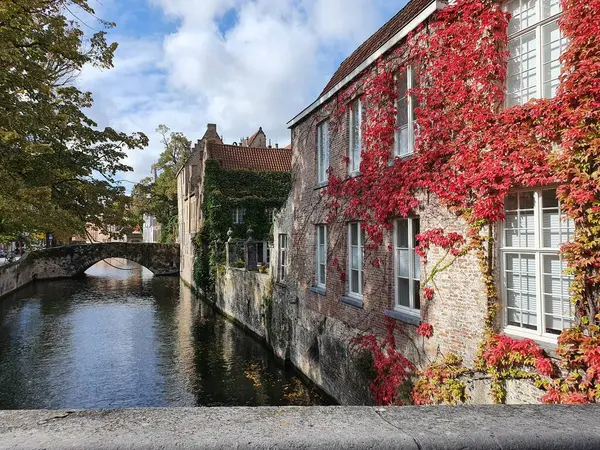 Brüj 'de (Belçika) bir kanalın yanındaki tuğla duvarda kırmızı çiçekler. Kanalı geçen kemerli taş köprü..