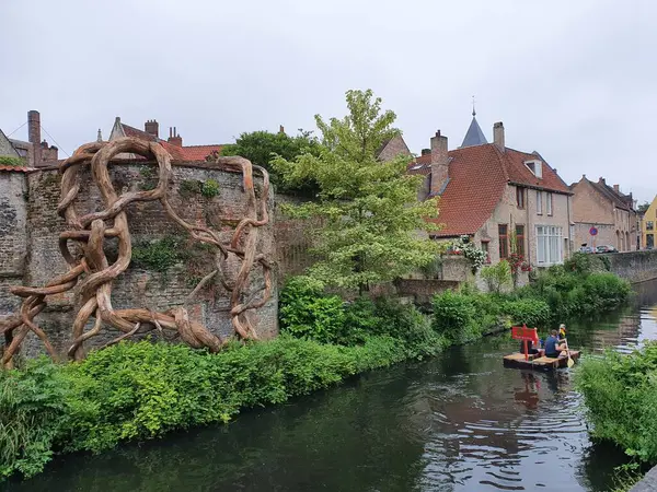 Bruges Kanalı (Belçika), Haziran 2021. Tuğla duvara tırmanan büyük kahverengi ağaç kökleri ve koyu yeşil yapraklarla çevrili su. Öğrenciler bir salda kürek çekiyorlar..