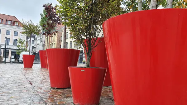 Lille 'de (Fransa) koyu kırmızı, büyük saksılar, Eylül 2021. Bir sonbahar gününde kaldırım taşından sokaklara yağmur yağar.