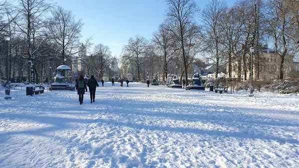 Brüksel 'de (Belçika) açık karlı bir kış günü. Royal Park (Parc de Bruxelles veya Parc Royal) beyaz karla kaplıdır. Ocak 2024.