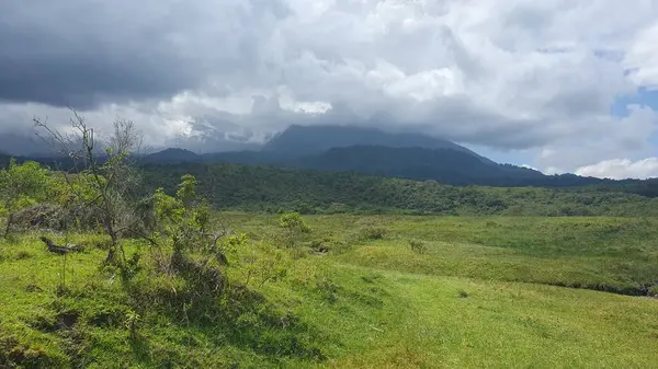 Meru Dağı Arusha Milli Parkı 'ndan (Tanzanya), Aralık 2022. Kalın bulutların arkasına saklanan hareketsiz volkan, yemyeşil bitki örtüsünün ortasında..