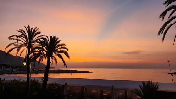 Menton 'da gün doğumu (Fransa), Ekim 2022. Huzurlu Akdeniz üzerinde turuncu bir gökyüzüne karşı iki palmiye ağacının siluetleri.