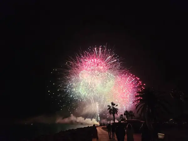 Menton, Fransa (Şubat 2025): Yıllık Limon Festivali (Fete du Citron) sırasında gece deniz kenarında havai fişek gösterisi. Pembe ve yeşil patlamalar palmiye ağaçlarının siluetini aydınlatıyor ve sahil bulvarını aydınlatıyor..