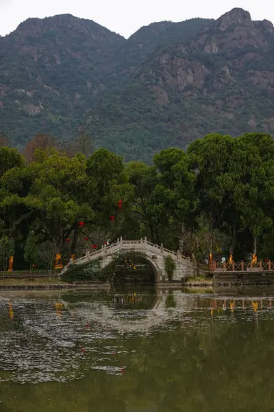 Geleneksel Bir Çin Bahçesinde Sakin Bir Göletin Üzerinde Eğri Bir — Stok fotoğraf