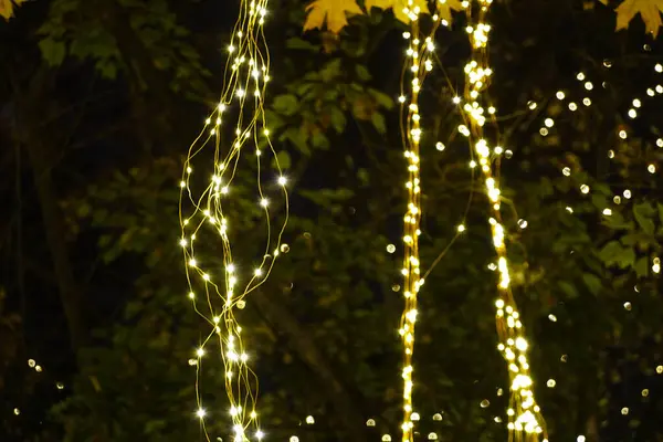 Árbol Decorado Con Luces Por Noche — Foto de Stock