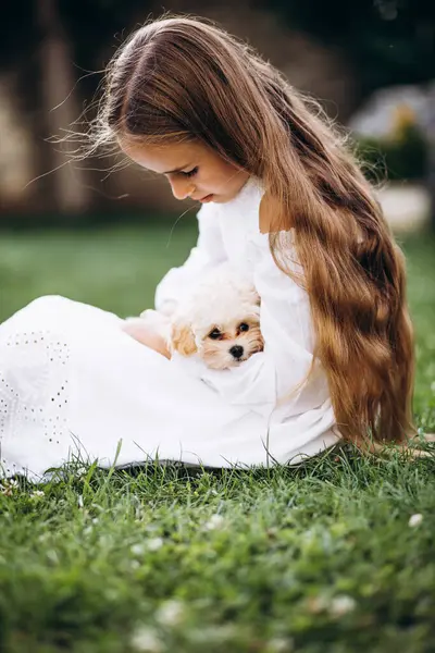 彼女の家の裏庭に芝生の上に座っているマルティパ犬と小さな女の子 — ストック写真