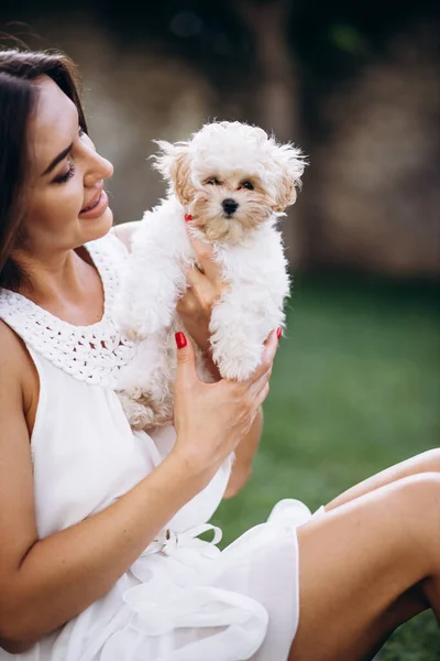 Mulher Bonita Segurando Seu Pequeno Cão Maltipa — Fotografia de Stock