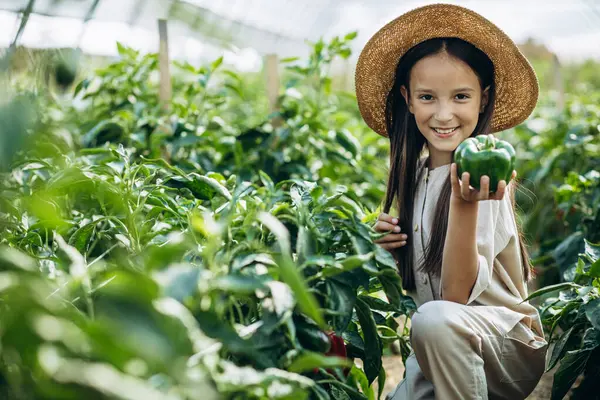Chica Con Pimiento Verde Invernadero — Foto de Stock