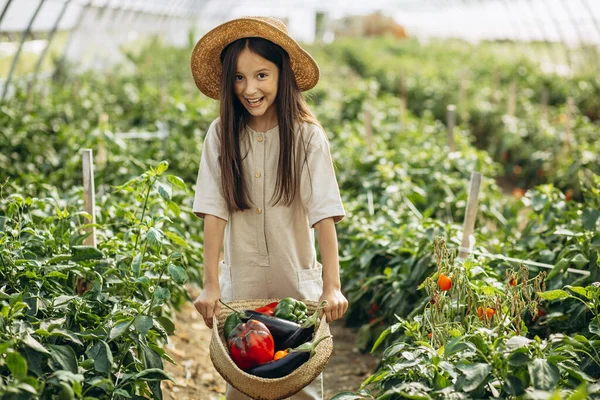 Ung Flicka Som Samlar Grönsaker Växthus — Stockfoto