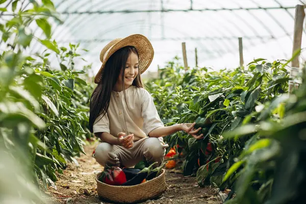 Ung Flicka Som Samlar Grönsaker Växthus — Stockfoto