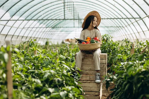 Joven Chica Geathering Verduras Invernadero — Foto de Stock
