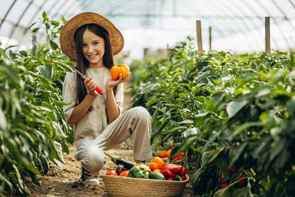 Joven Chica Geathering Verduras Invernadero — Foto de Stock