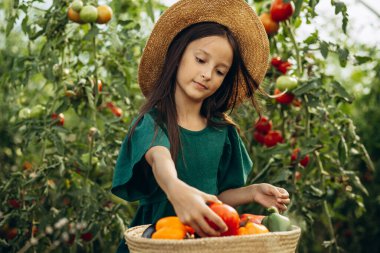 Sepet dolusu sebzeli yeşil evde bir kız.