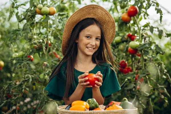 Dziewczyna Zielonym Domu Koszykiem Pełnym Warzyw — Zdjęcie stockowe