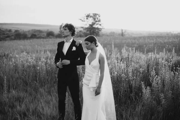 Unga Bröllop Par Tillsammans Fält — Stockfoto