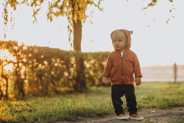Słodkie Mały Chłopiec Jesienny Park — Zdjęcie stockowe