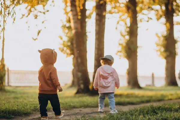 Netter Kleiner Junge Und Mädchen Zusammen Herbstlichen Park — Stockfoto