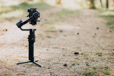 Ormanda video yazarken kameraya alınmış.